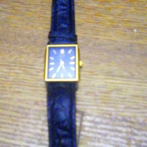 Ladies Citizens watch